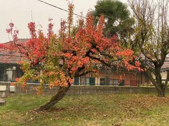 Al Vecchio Pero, Con Ampio Giardino Privato
