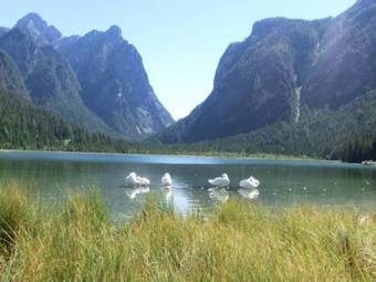 Apartamento Goserhof