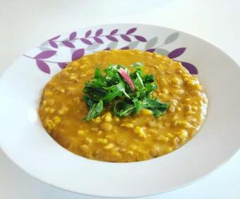 Hostal Dolina Mira/ Peace Valley