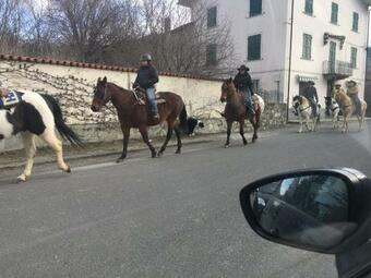 Bed & Breakfast B B Griffondoro