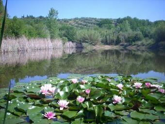 Agroturismo Marrucheto