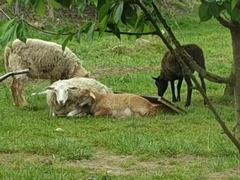 Domek Letniskowy W Zieleni Blisko Jeziora ?redzkiego