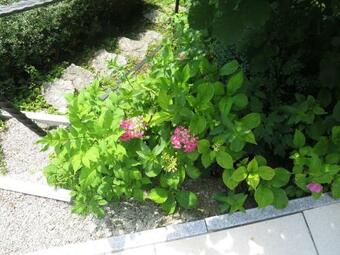 Apartamento Haus Aschau