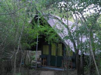 Hotel Mahoora Tented Safari Camp - Kumana