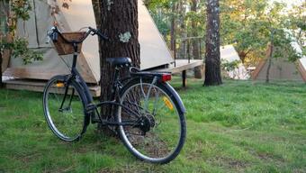 Amaraxe Ecoglamping
