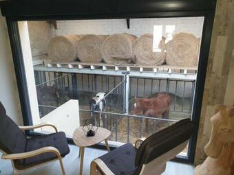 Bed & Breakfast Equi-lodges