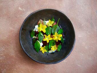 Hotel Casona Los Cedros