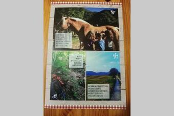 Apartamento La Baita In Piazza