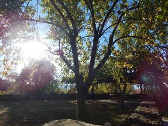 Hostal Guesthouse Ariadni