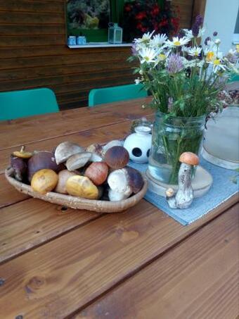 Chata Evel�na Bystr�