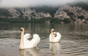 Bed & Breakfast Pensiunea Sirinia