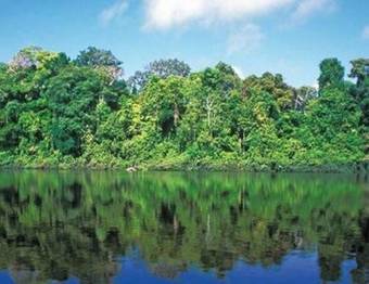 Hotel Vista Al Tortuguero