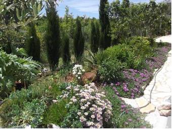 Apartamentos Villa Mirko