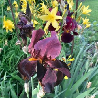 Apartamento Lintschis Ferienwohnung