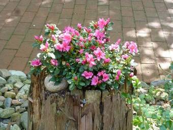 Hotel Gutshof Im Oertzetal