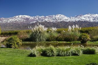 Hotel La Morada Guesthouse