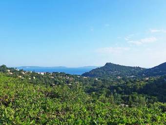 Apartamentos Mas Pramousquier I Le Lavandou