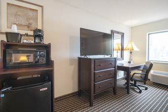 Hotel Oyo Townhouse Houston Airport North