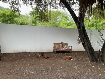 Ver fotos