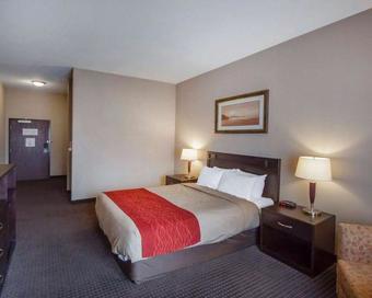 Hotel Comfort Inn & Suites Sylvan Lake