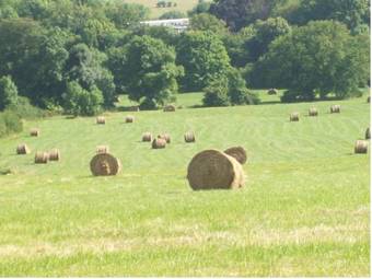 Gite De La Cour Basse