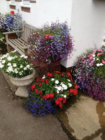 Hostal Prestoller House