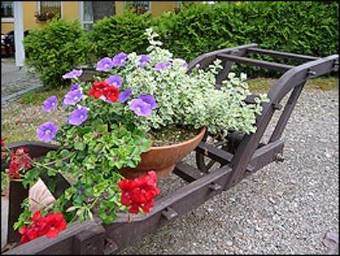 Hostal Gasthaus & Pension Zum Hirsch