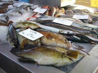 Apartamento Appartements Du Port