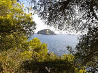 Hotel H�tel Les Palmiers