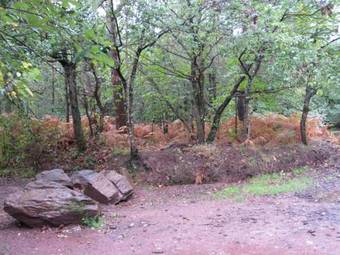 Bed & Breakfast Ar Litorienn