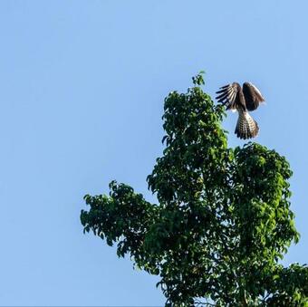 Hotel Boutique Maitta En Doradal Antioquia