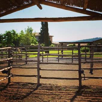 Agroturismo Agriturismo Giuncola & Granaiolo