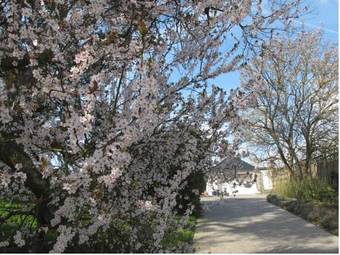 G�te De La Conciergerie Du Cheval Blanc