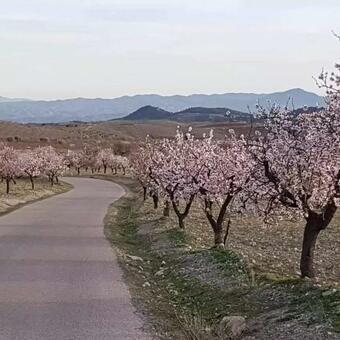 Immaculate Casa 2 Bed 2 Bath With Pool Casa Oriana Oria Almeria