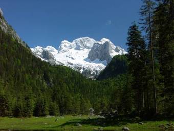 Apartamento G�stehaus Erna Bleisch