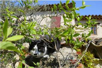 Bed & Breakfast Le� Souco