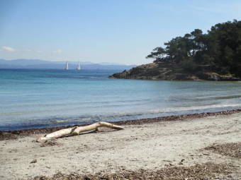 Best Western Hotel Europe Hy�res