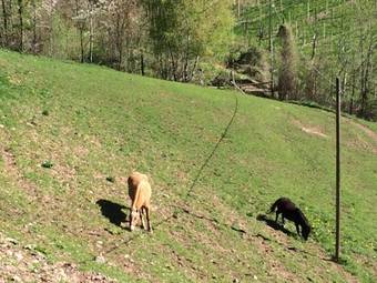 Agroturismo Gruberhof