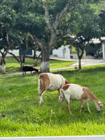 Agroturismo Hotel Mira Cruz