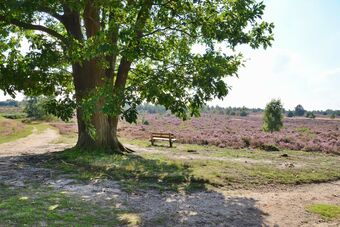 Hotel Restaurant De Uitkijk