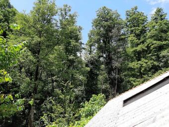 Bed & Breakfast Rifugio Montano