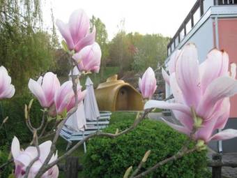 Maiers Wellnesshotel Loipersdorf