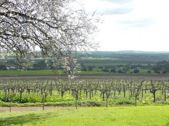 Bed & Breakfast Blickinstal Barossa Valley Retreat