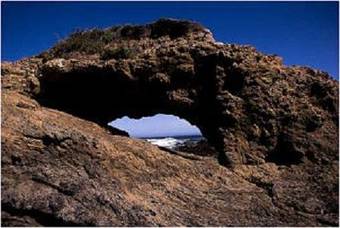 Motel Ocean View Lodge