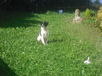 Agroturismo Donibane