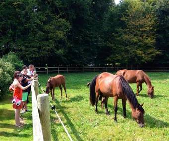 Hotel Domaine De Bel Air