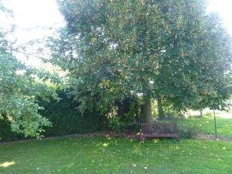 Bed & Breakfast Ferme Martzloff