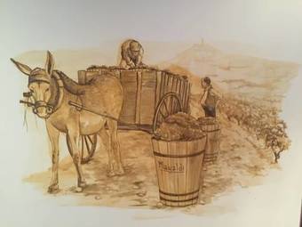 Agroturismo La Casa Azul