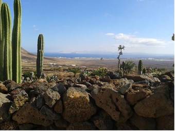 Agroturismo Casa Rural Los Ajaches