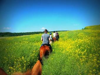 Bed & Breakfast Au Mesnil Le Bas Bray